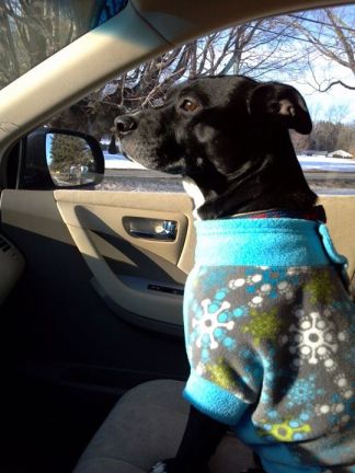 409531_2497584159079_1509379244_n